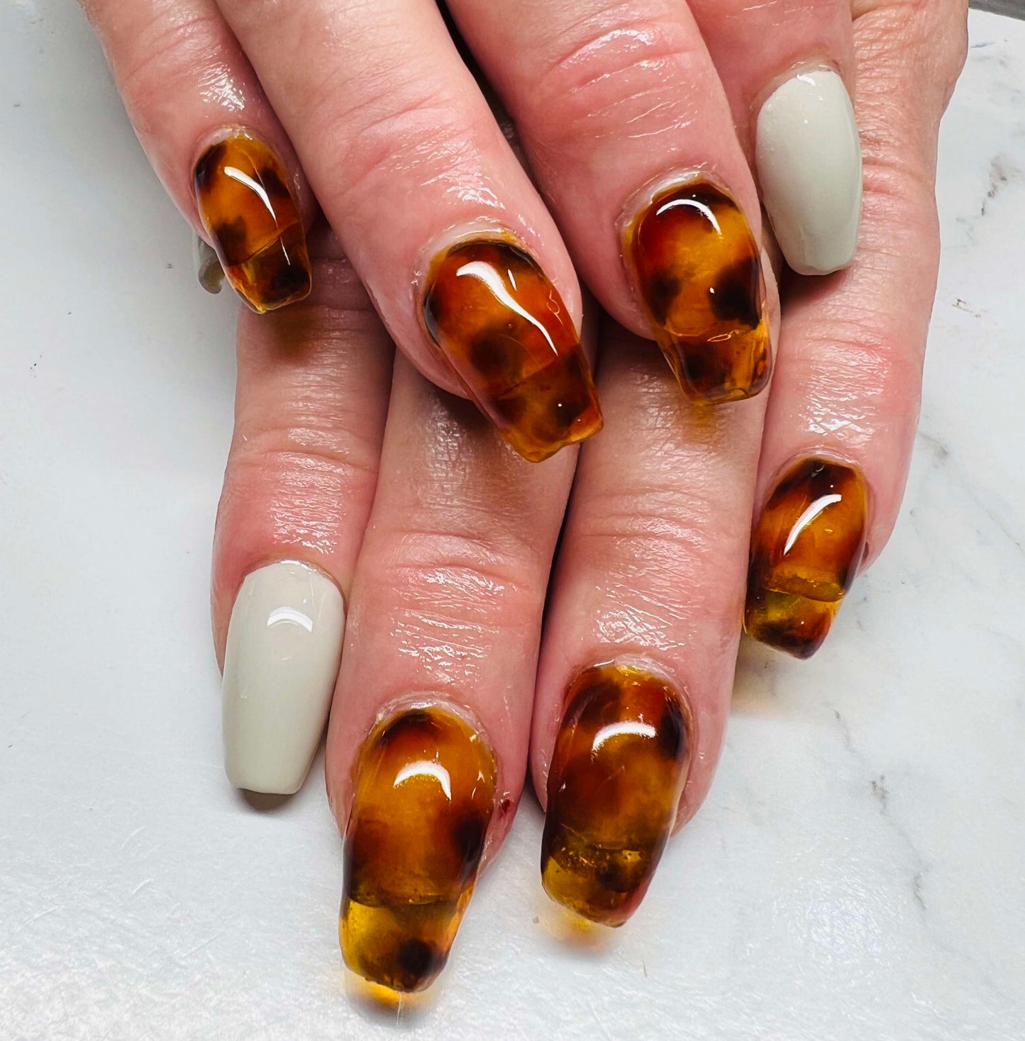 Amber collection (tortoise)